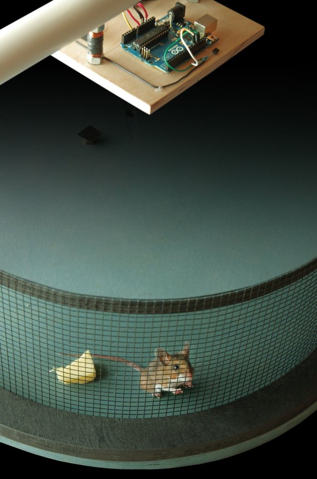 Smart Rat Trap Arduino + desperation = 21st-century rodent control